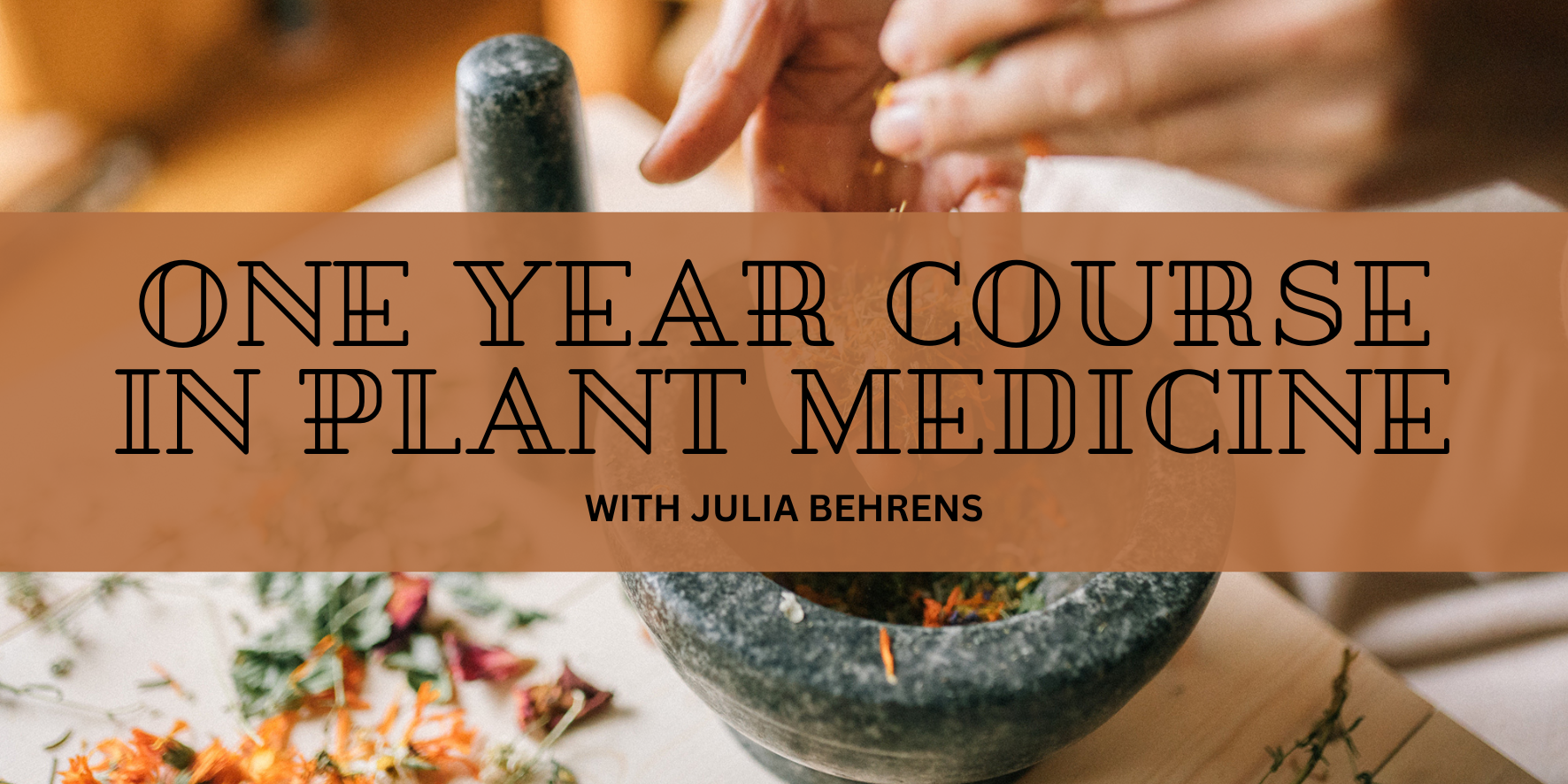 One Year Course in Plant Medicine with Julia Behrens